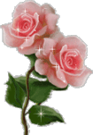 g_roses